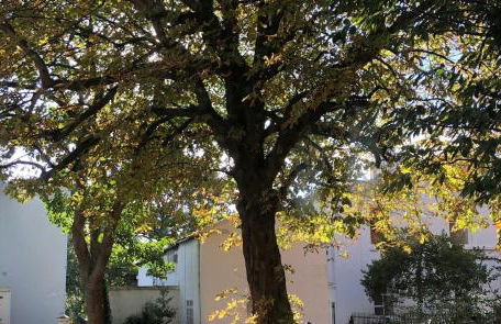 Mersey! Lark Lane! Quiet area! Spacious comfy flat - Foto 25