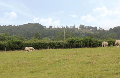 Ty Cuddfan - Foto 30