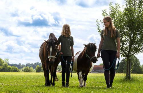 Springerhof - Foto 6