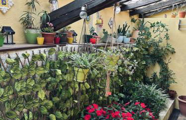 Casa do Largo da Fogueira - Foto 50