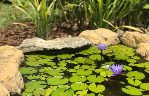 Kusikuy Private Guesthouse - Foto 25