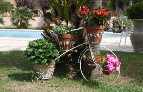 Lou Relambi - Foto 43