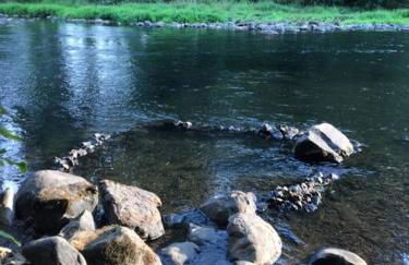 West Linn Relaxing Entire Home WiFi TV Yard BBQ Eateries - Foto 15