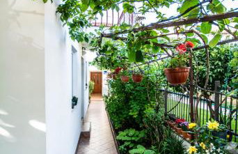 Apartments Lea Poreč - Foto 1