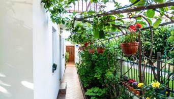 Apartments Lea Poreč - Foto 1, Garden, Garden view