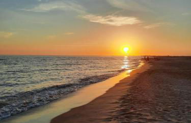 L'oiseau bleu - Foto 49