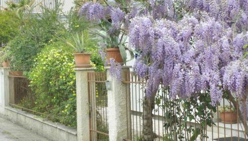 La Suite Di Rita - Foto 2, Garden