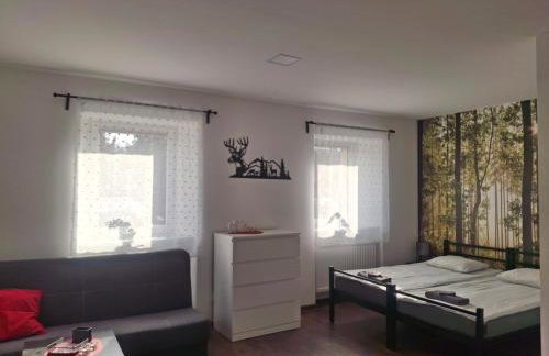 Agroturystyka pod niebieskim dachem - Foto 3