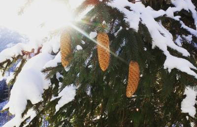 Agroturystyka Elżbieta i Juliusz - Foto 12