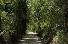 Poggio Ugo - Foto 48