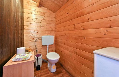 Gorgeous Home In Vinogradi Ludbreski - Foto 36