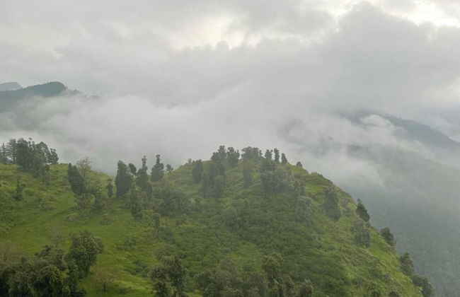 Veenu's Cottage - Foto 53