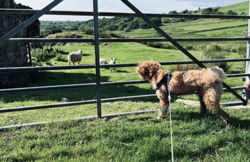 Eilio Cottage- Closely located to Snowdon - Foto 2