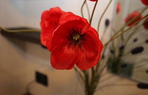 Cortile del Forno nel centro storico - Foto 22