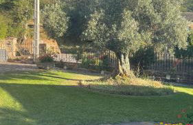 Casa Gelito - Foto 9