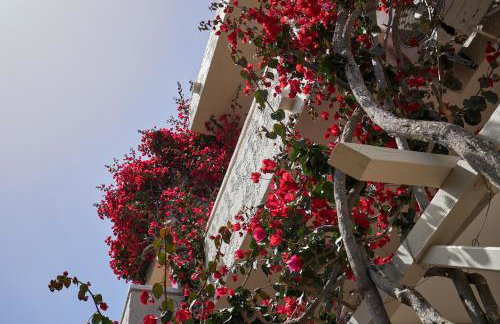 Mila Malia Studios Hotel - Photo 10