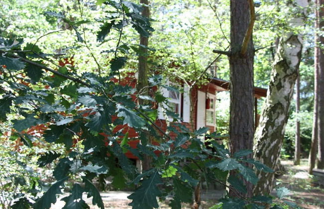 Haus am Kolberg Modern Retreat - Foto 16