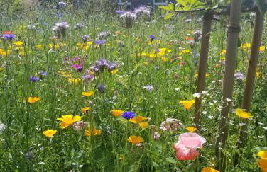 Haus am See - Foto 10