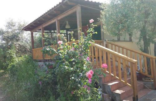Campus Verde - Foto 31