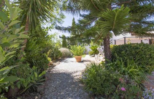 Finca Mulo Arriba - Foto 22