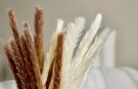 Zentral & Modern Nähe Düsseldorf und Köln - Foto 8