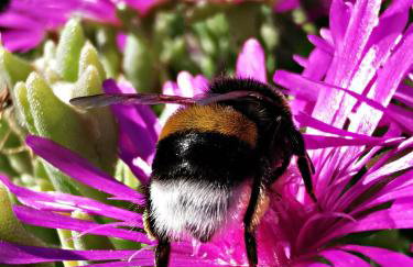 Apartment Slavonska Kuća - Foto 38