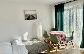 Domki Pasieka Domek D - Foto 8