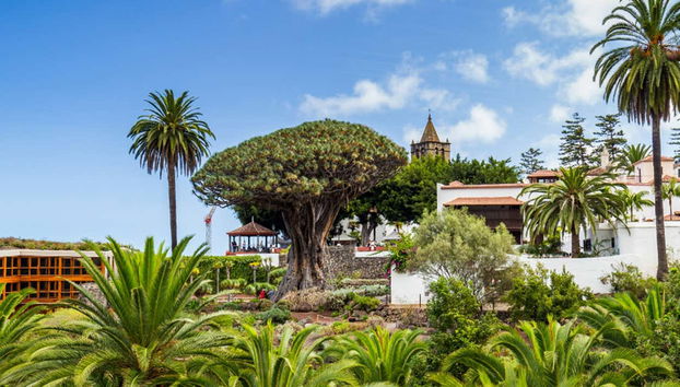 Tenerife Private Excursion - Foto 3