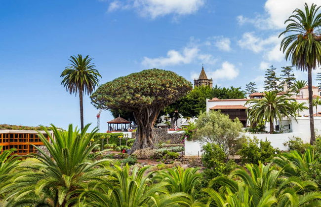 Tenerife Private Excursion - Foto 4