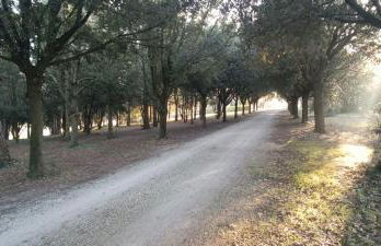 Tenuta del Viandante - Foto 53