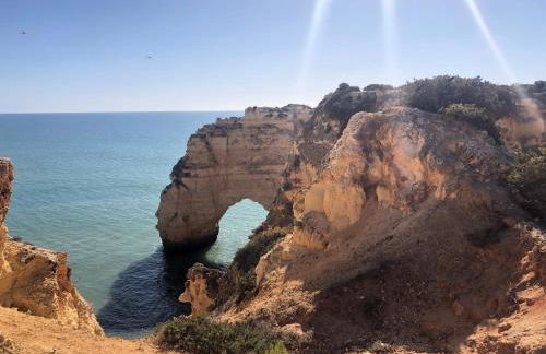 Casa Dos Cedros - Foto 75