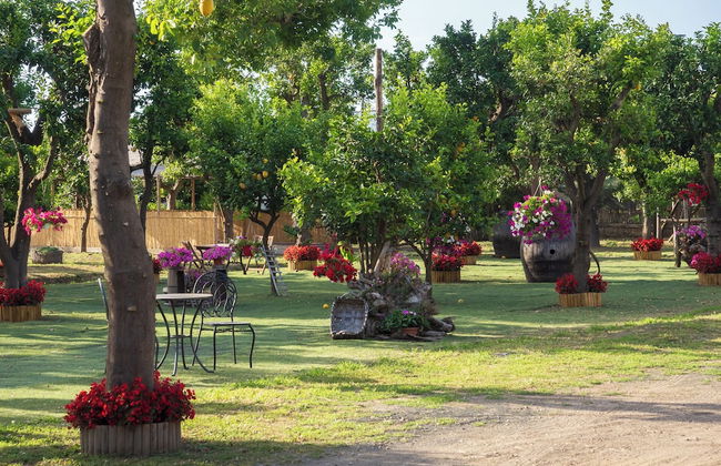 Giardino di Nonno Lucio - Foto 38