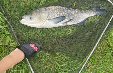 Agroturystyka nad stawami - Foto 72