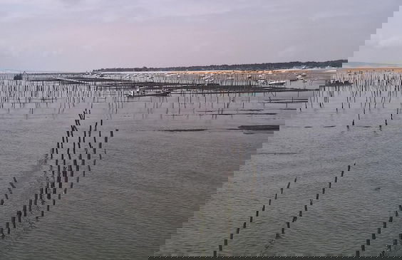 Les Calicots Sanguinet - Photo 25