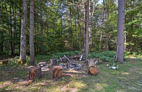 Cozy Manistique Cabin with Deck, Grill and Fire Pit! - Foto 31