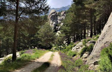 Villa Carmen del Rosal - Foto 26