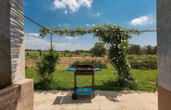 Le Cernicole - Foto 25