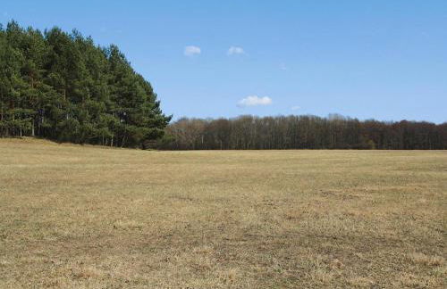 Ferienwohnung, Lohmen - Foto 24