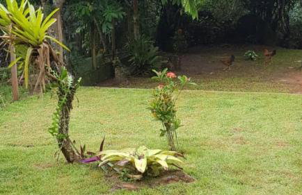 recanto paraty mirim - Foto 20