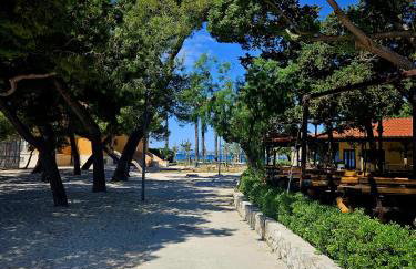 Perla No1 - Photo 39