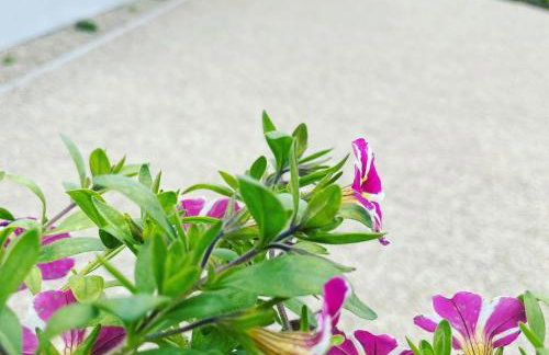 K&J Domki Letniskowe - Foto 66