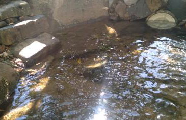 Casa de Campo em Lumiar com corrego ,lareira e churrasqueira - Foto 21