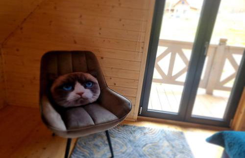 Domek pod Ostoją Góry Sowie - Foto 56