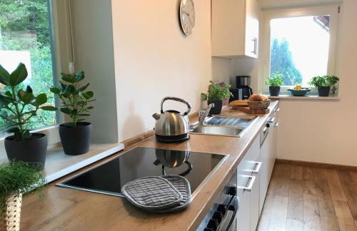 Willi Ohler Haus - Foto 29