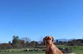 A Casa do Soito - Foto 24