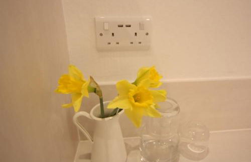 Foxes Reach - nrTintern Wye Valley hot tub EV - Foto 34