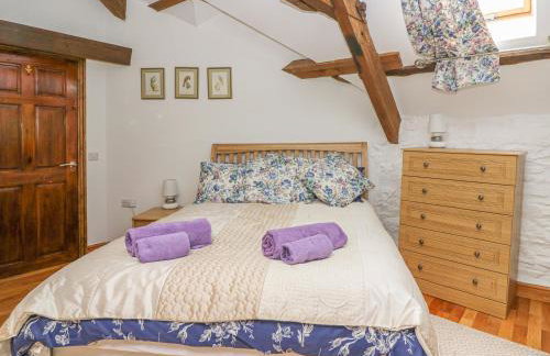 Felin Iago - Foto 18