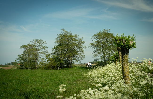 Waterlodge Goudule in Nes - Photo 10