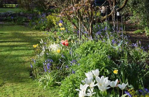 Fosbroke Cottage - Photo 9