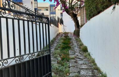 Nazaré Sol - Excelente Vista para o Mar - Foto 3